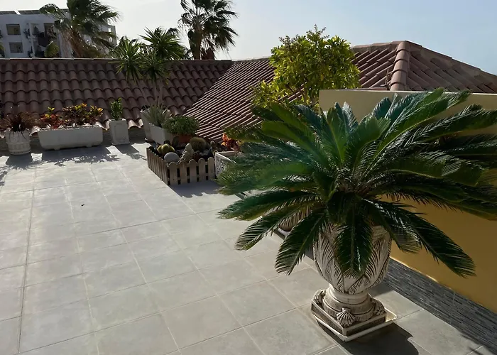 Daire One Bedroom In San Blas, Golf Del Sur, Tenerife